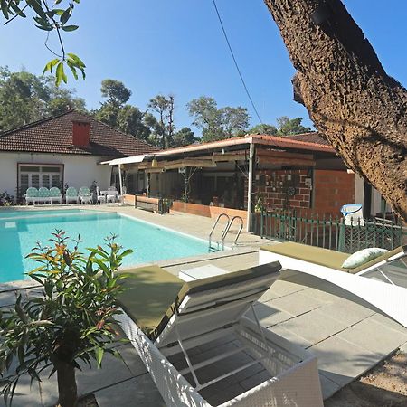 Devi Villa - Plantation Retreat And Forest Getaway Kutta エクステリア 写真