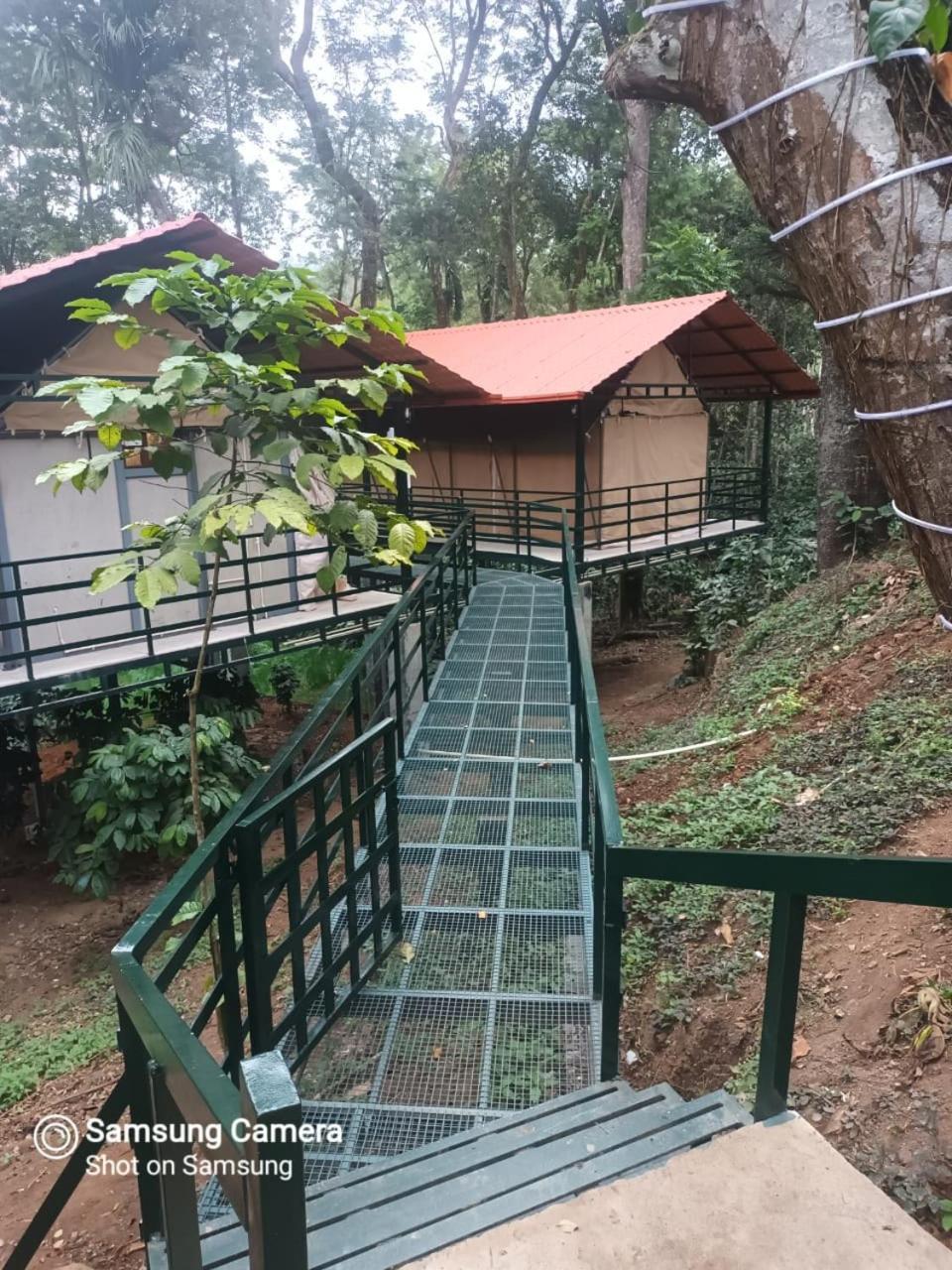 Devi Villa - Plantation Retreat And Forest Getaway Kutta エクステリア 写真