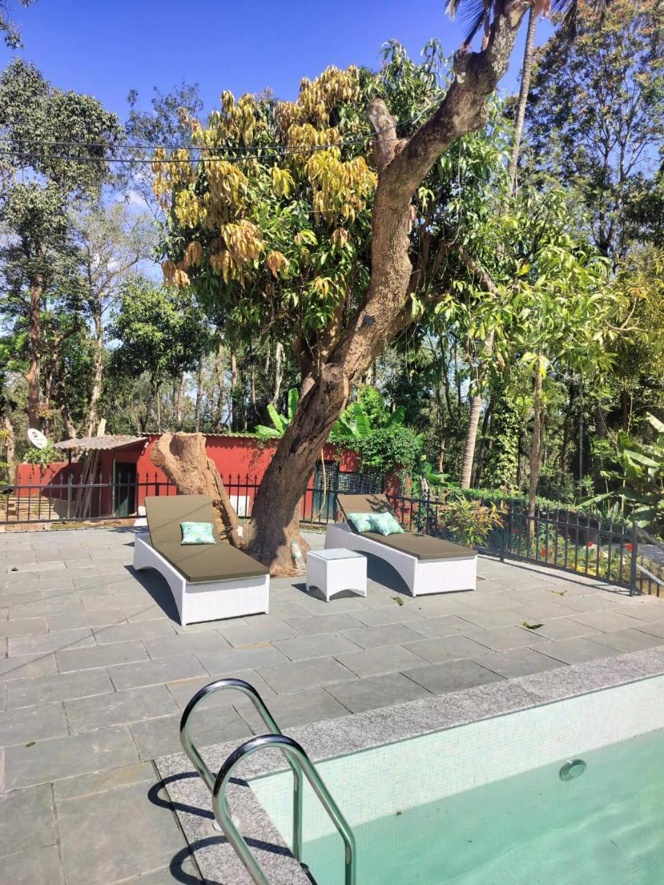 Devi Villa - Plantation Retreat And Forest Getaway Kutta エクステリア 写真